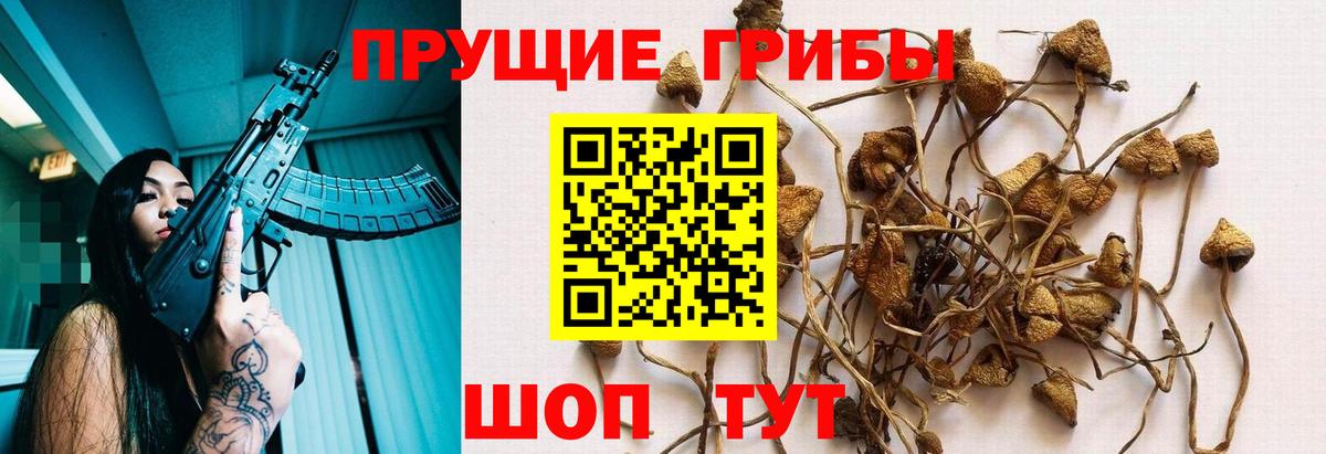 Галлюциногенные грибы мицелий  Вход с VPN  Соликамск  Псилоцибиновые грибы Cubensis 